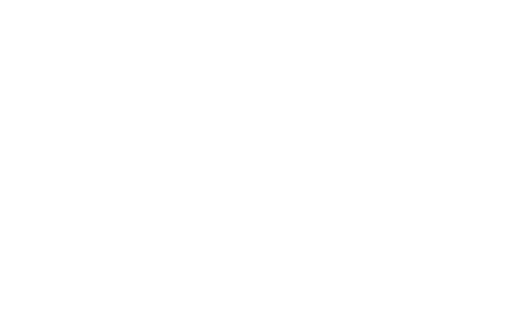 spirit & sound logo in weiss